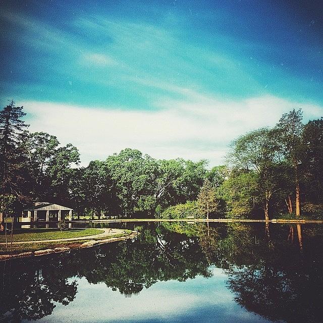 Columbus Photograph - • Duck Pond • by Jayna Wallace