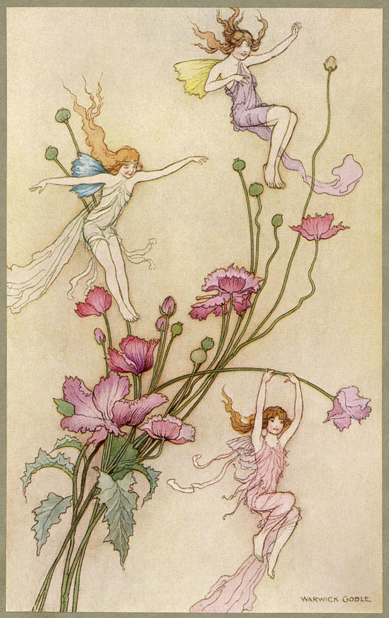 fairies and roses
