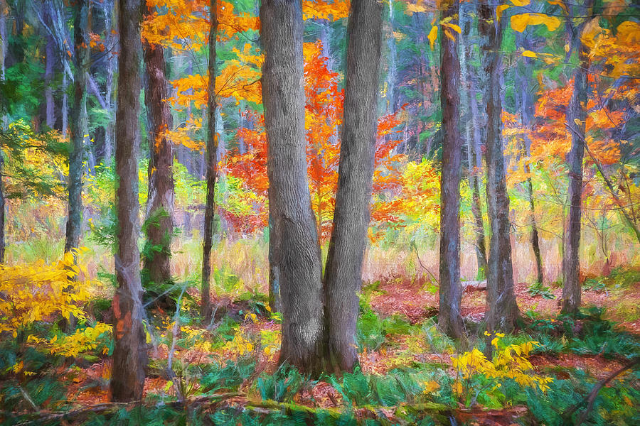  Fall Foliage George W Childs National Park Painted   Photograph by Rich Franco