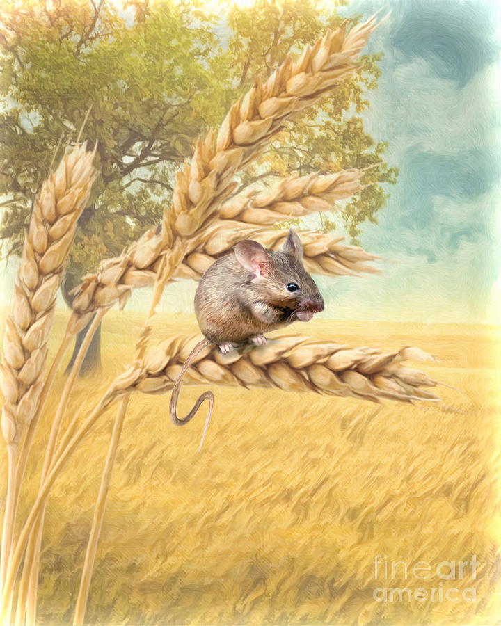  Field Mouse Digital Art by Trudi Simmonds