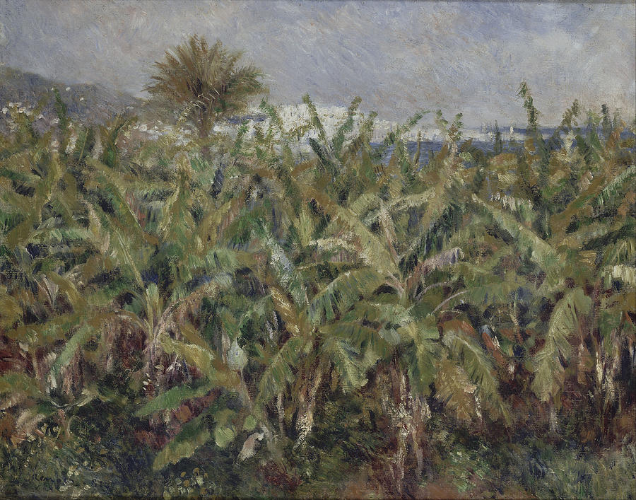  Field of Banana Trees #3 Painting by Pierre-Auguste Renoir