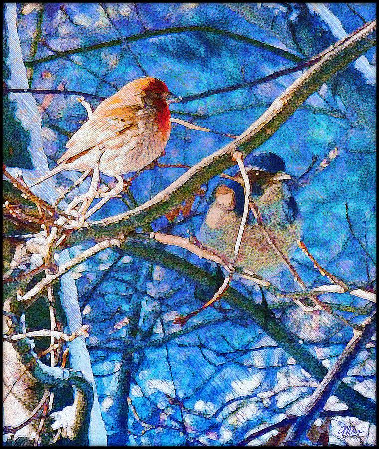  Finch and Blue Jay - California Winter Day Painting by Douglas MooreZart