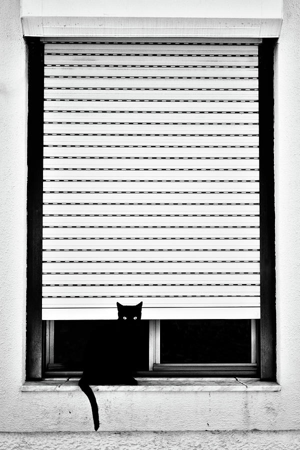 Black And White Photograph - ? by Florentinus Joseph