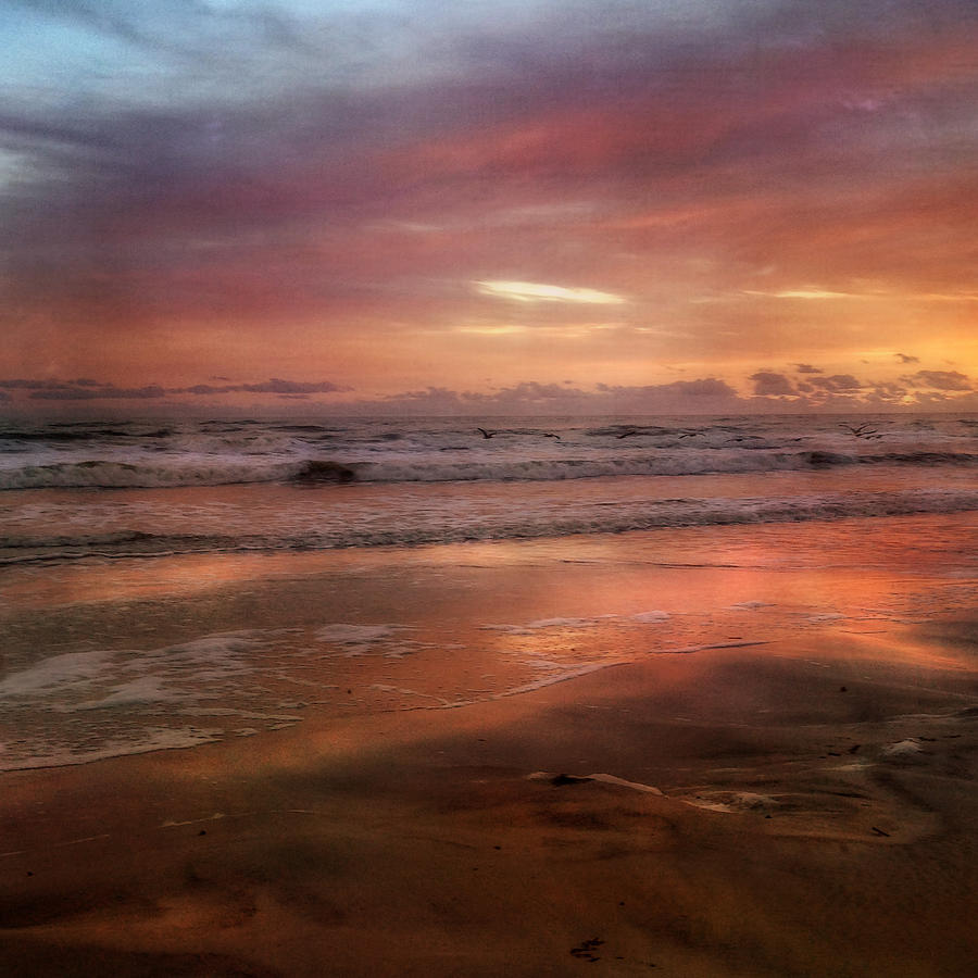 Beach Photograph -  Florida Sunrise after a Storm - New Smyrna Beach FL by Joann Vitali