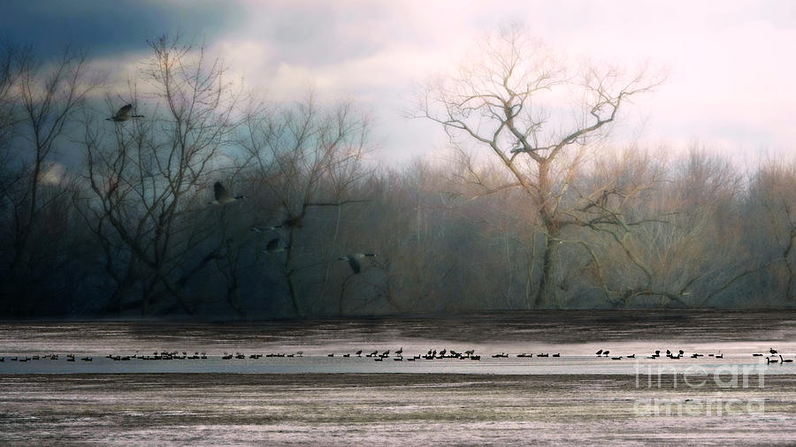  Flying Geese Surrealism Photograph by Lila Fisher-Wenzel