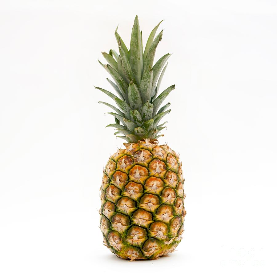  Fresh pineapple Photograph by Bernard Jaubert