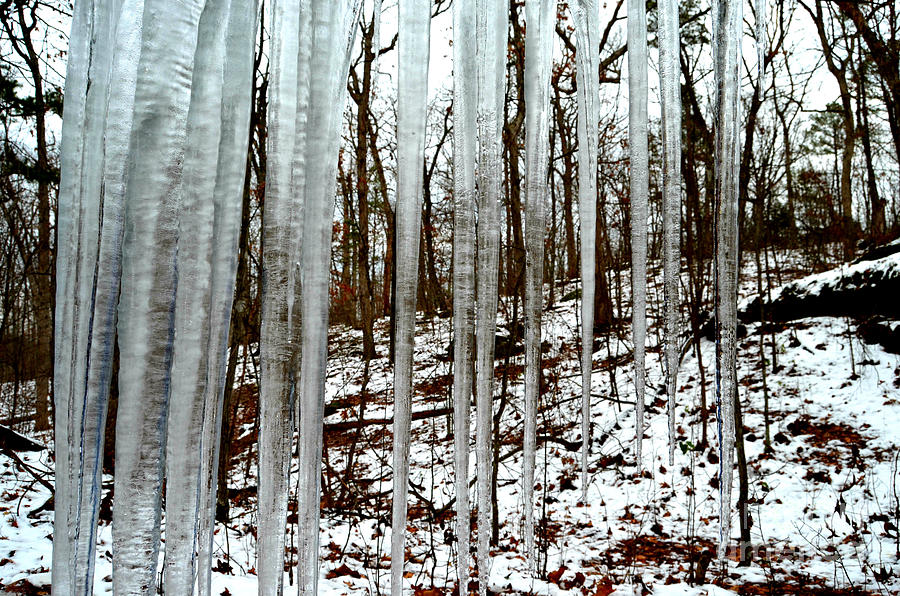 Nature Photograph -  Frozen In Time by Peggy Franz