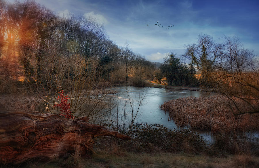  Frozen Pond Photograph by Jason Green