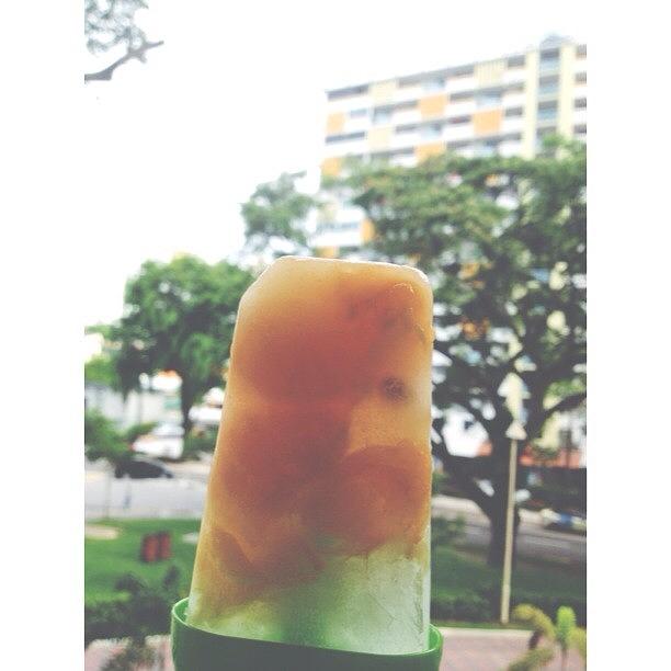 🍊 Fruit Pops 😻 Photograph by Reybu Foo