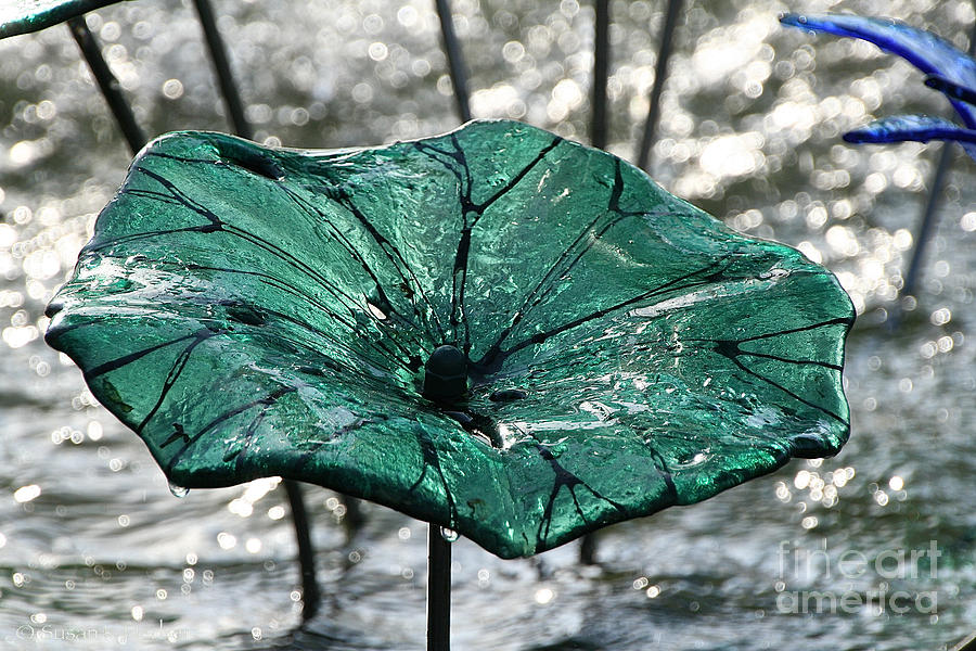  Glass Lily Pad  Photograph by Susan Herber