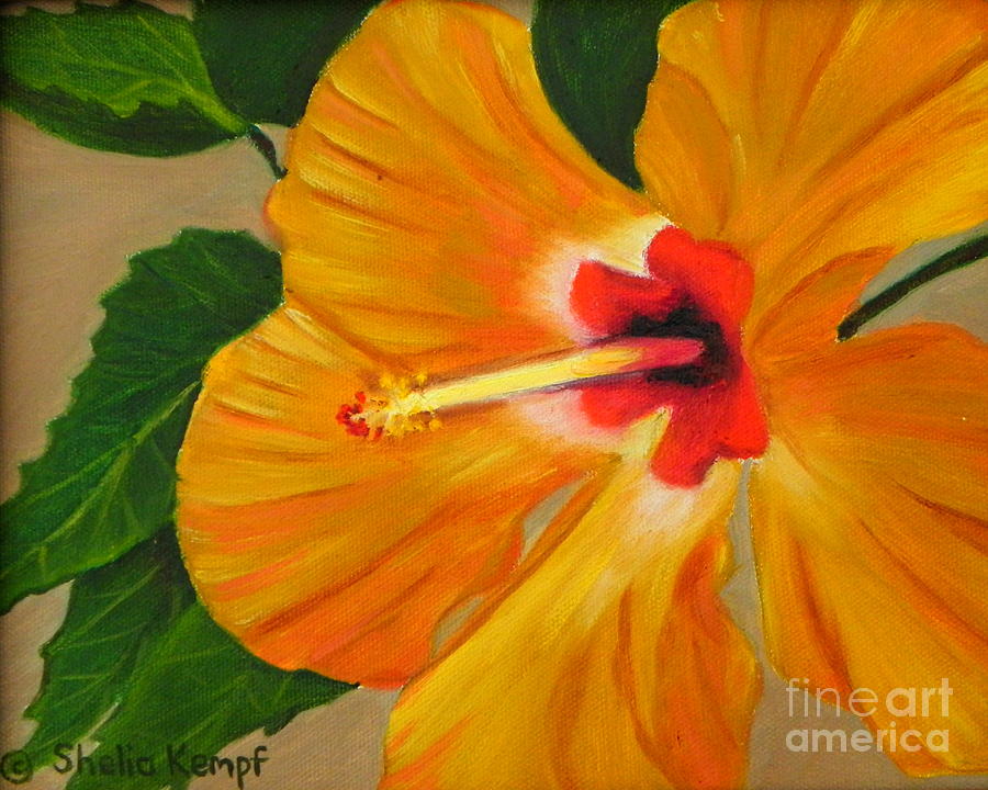 Mothers Day Painting -  Golden Glow - Hibiscus Flower by Shelia Kempf