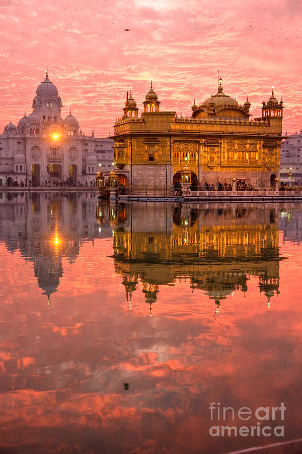  Golden Temple - Amritsar - India Photograph by Luciano Mortula