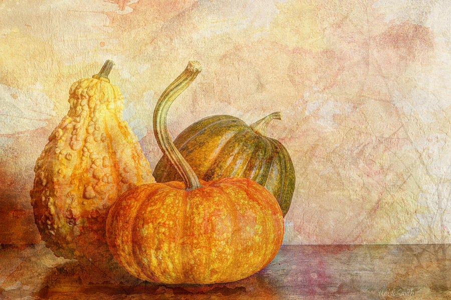  Gourd And Pumpkins II Photograph by Heidi Smith
