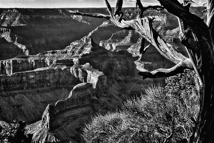 Grand Canyon National Park Photograph -  Grand Canyon Hermit View by Bob and Nadine Johnston