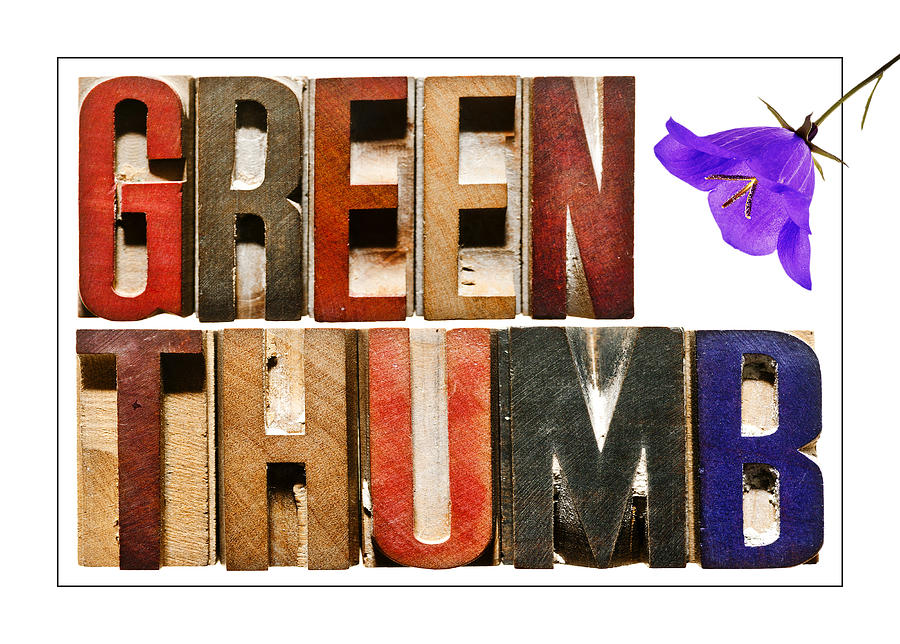 Inspirational Photograph -  Green Thumb by Donald  Erickson
