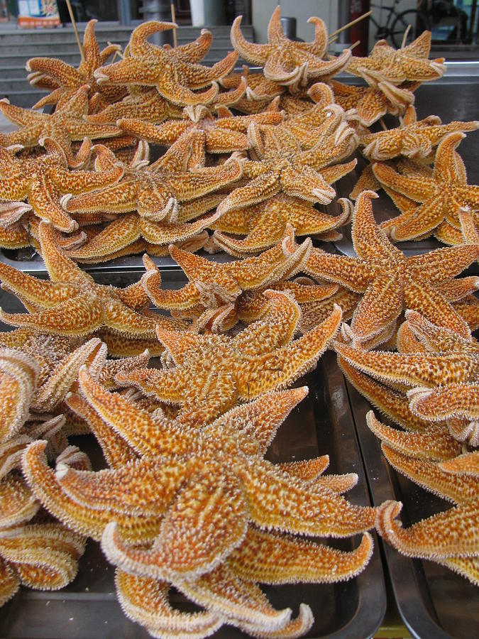  Grilled Star Fishes Photograph by Alfred Ng