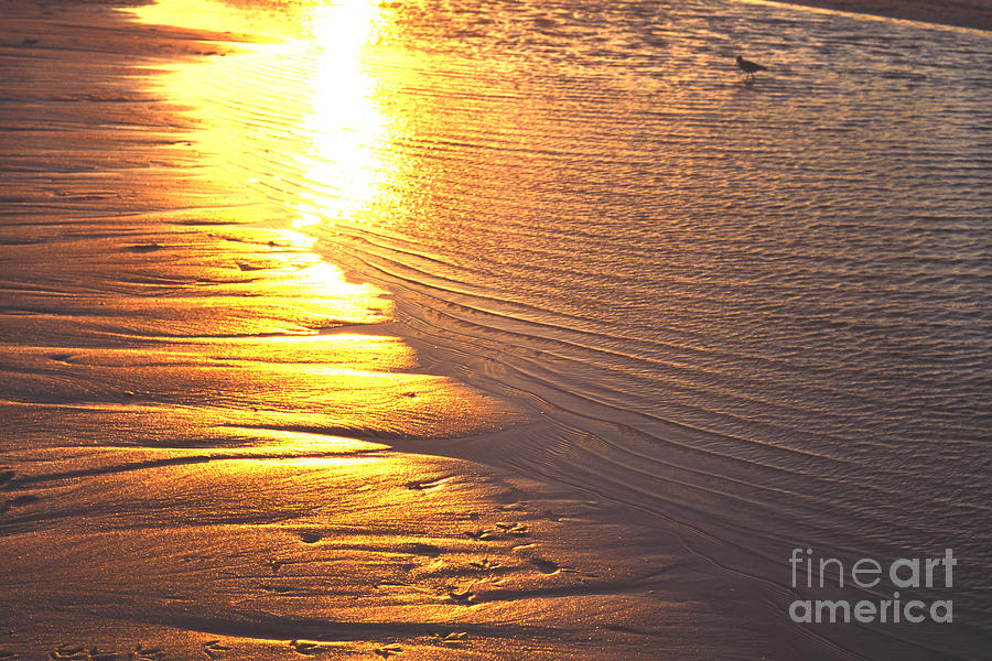 Gulf Shores Sunset  Photograph by Thomas R Fletcher