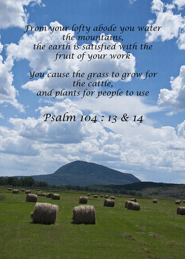  Hay Maker Harvest Psalm 104 13 to14 Photograph by Daniel Hebard