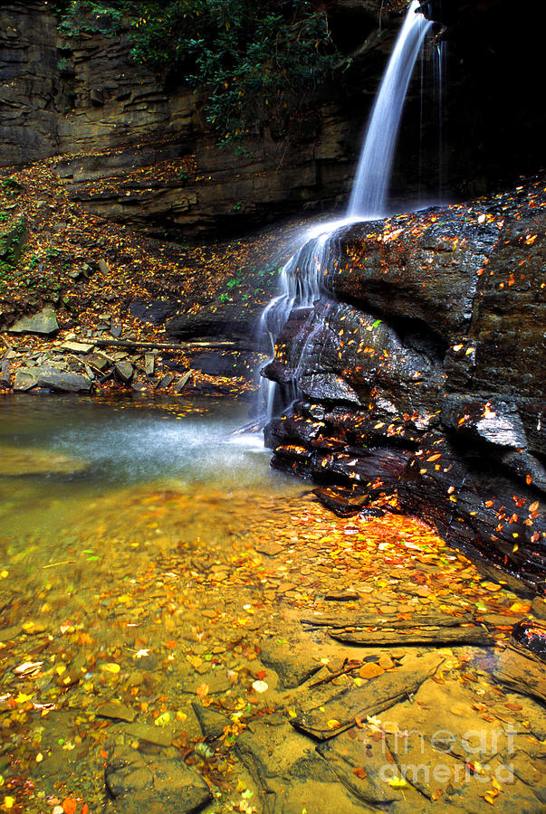 Holly River State Park Upper Falls Photograph by Thomas R Fletcher