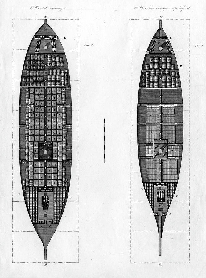 How Provisions For The Voyage Drawing by Mary Evans Picture Library ...