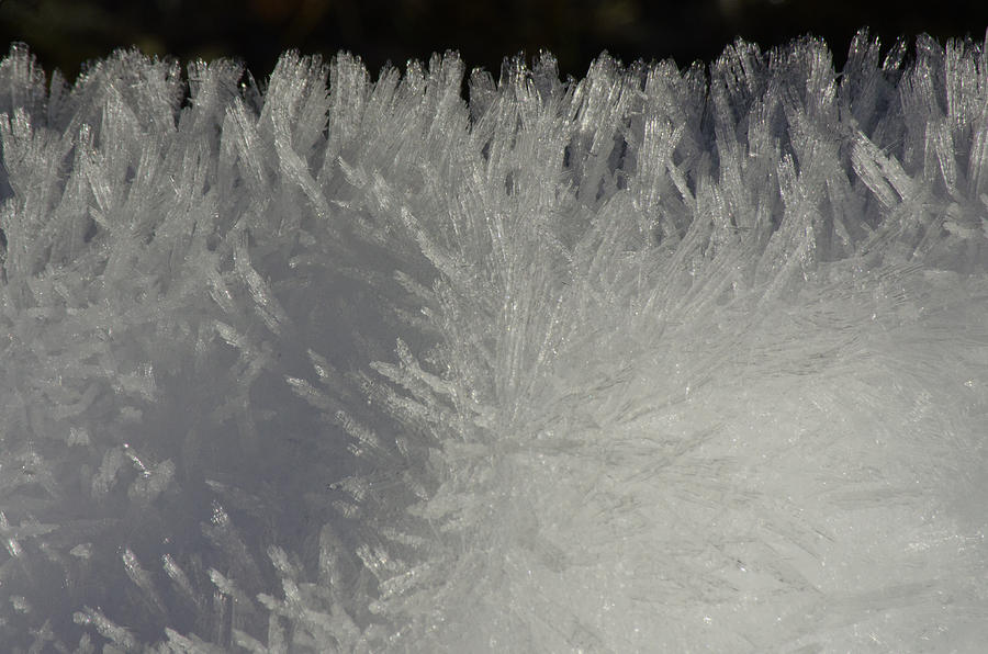  Ice Crystal Formations Photograph by Tikvahs Hope