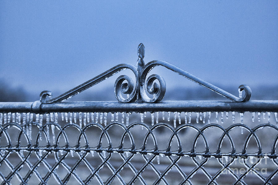  Ice Gate Photograph by Douglas Barnard