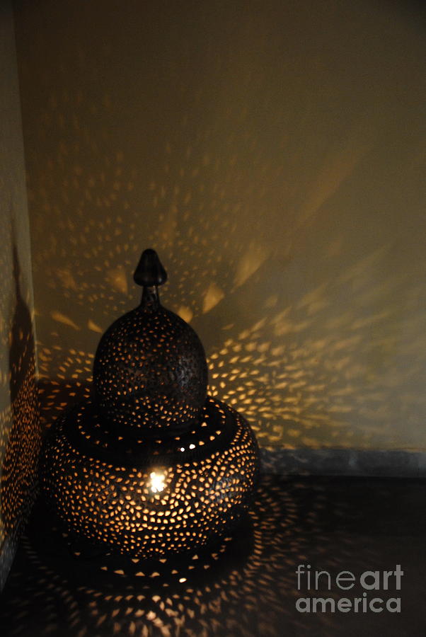  Indian Lantern Photograph by Jacqueline M Lewis