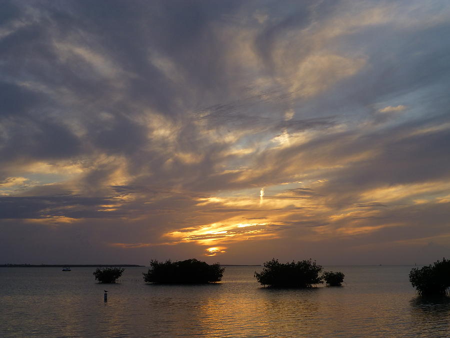  Islamorada sunset 4 Photograph by Maxine Kamin
