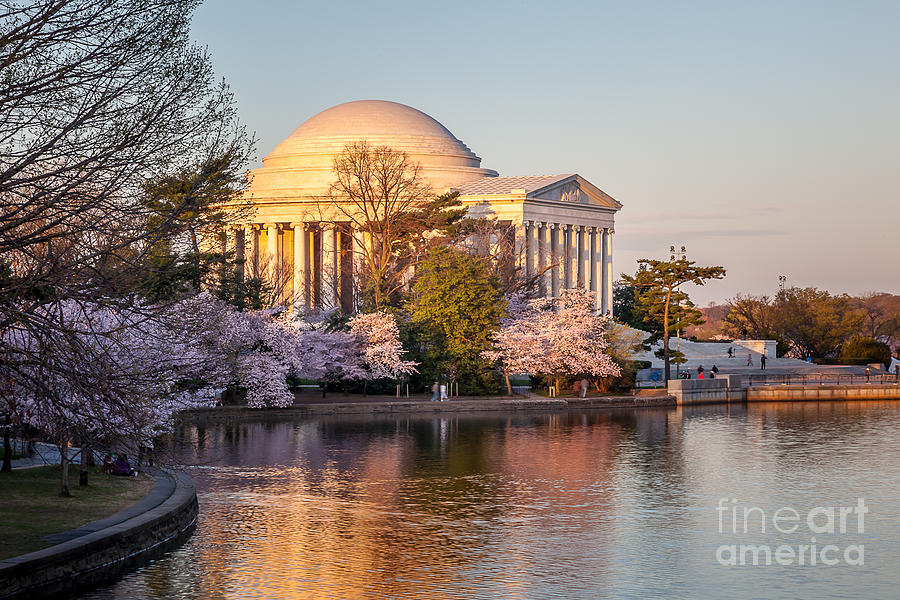  Jefferson Memorial Spring Photograph by Susan Cole Kelly