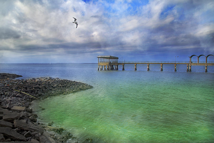 Seagull Photograph -  Jekyll Island Fishing Pier by Betsy Knapp