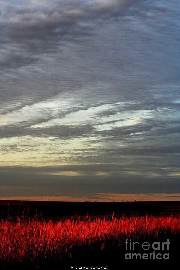  Kansas Prairie Grass Sunrise Photograph by PainterArtist FIN