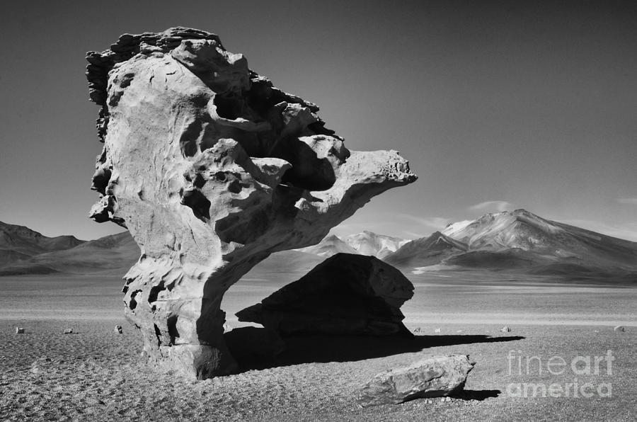 Black And White Photograph -  Landscape Of Bolivia by Bob Christopher