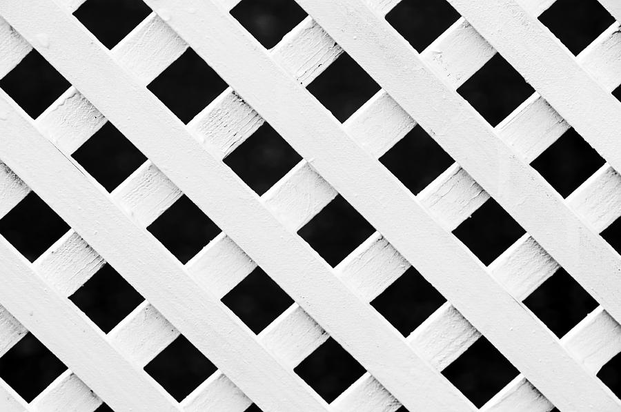  Lattice Fence Pattern Photograph by Mikel Martinez de Osaba