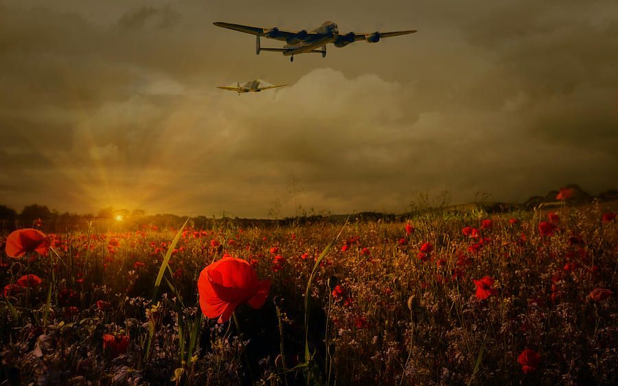  Lest We Forget Photograph by Jason Green