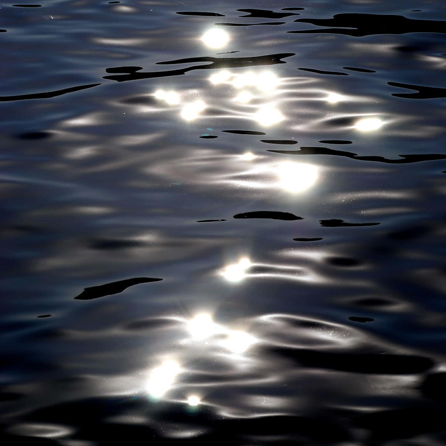  Light and Water  Photograph by Jacqueline M Lewis