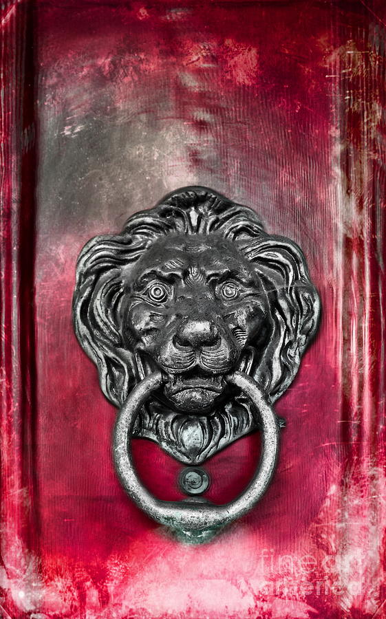  Lions Head Door knocker Photograph by Colleen Kammerer