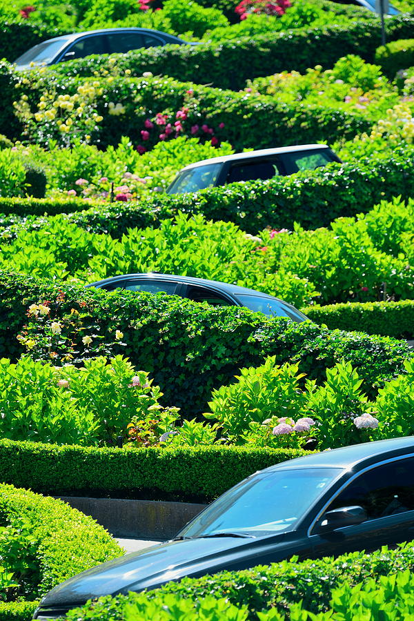  Lombard Street Photograph by Songquan Deng
