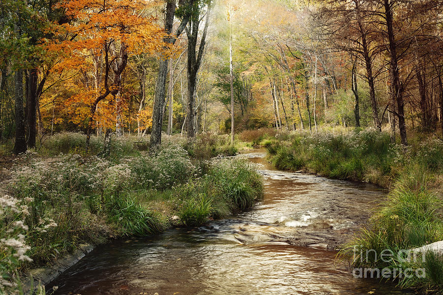  Lost Creek in Fall Photograph by Iris Greenwell