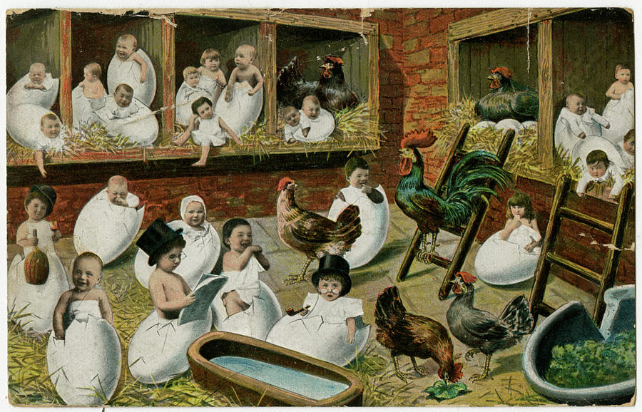 -lots-of-babies-hatching-out-of-eggs-mary-evans-picture-library.jpg