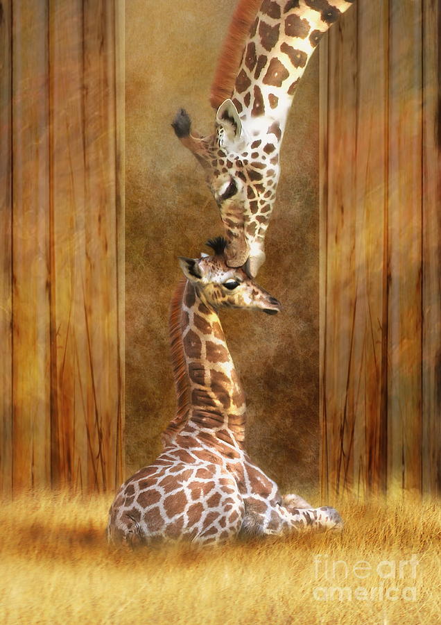 Giraffe Digital Art -  Love ...... by Trudi Simmonds