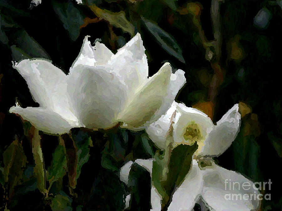 Magnolia-2 Digital Art