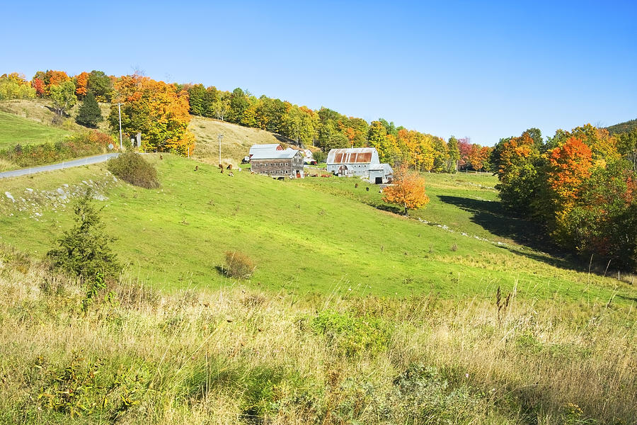  Maine Farm On Side Of Hill In Autumn Photograph by Keith Webber Jr