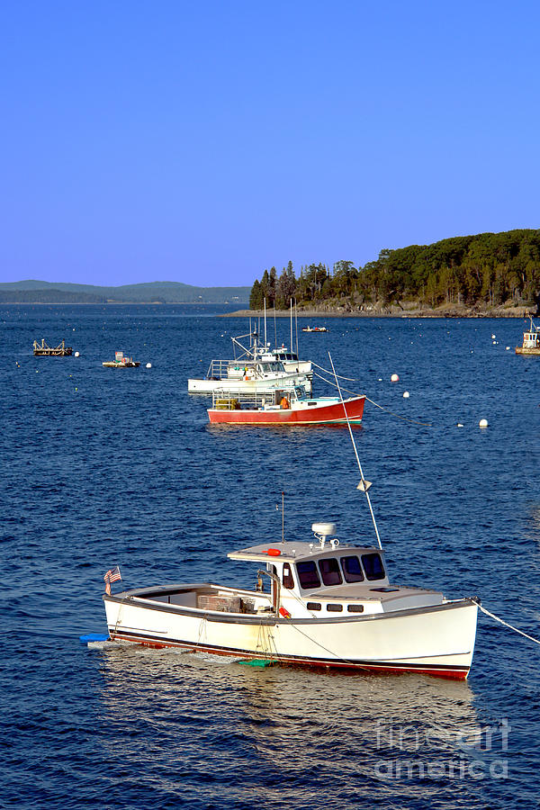 Boat Photograph - Maine Lobster Boat by Olivier Le Queinec