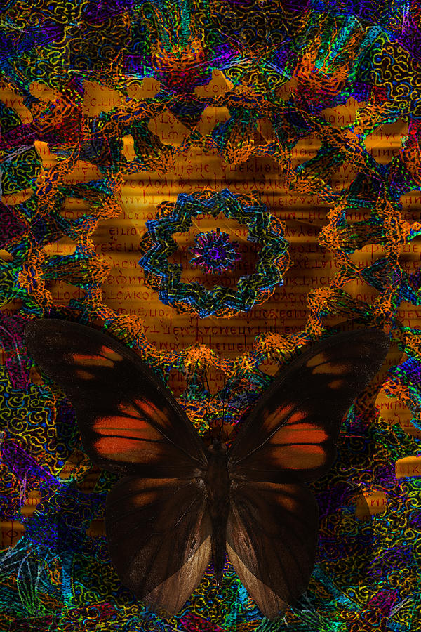 Majestic Butterflies Digital Art
