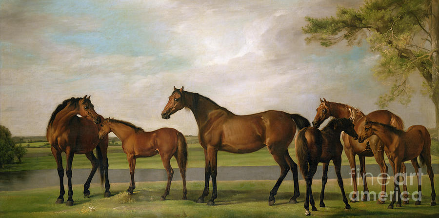 George Stubbs Painting - Mares and Foals Disturbed by an Approaching Storm by George Stubbs
