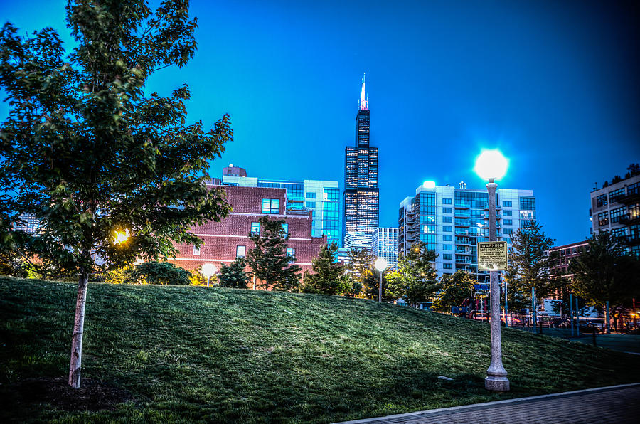  Mary Bartelme Park and the Willis Tower Photograph by Anthony Doudt
