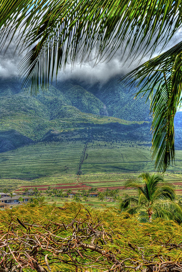  Maui Foot Hills Photograph by Arthur Fix