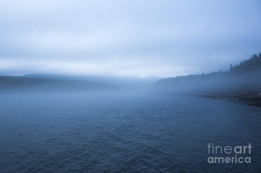  Mist in Otter Cove Photograph by Diane Diederich