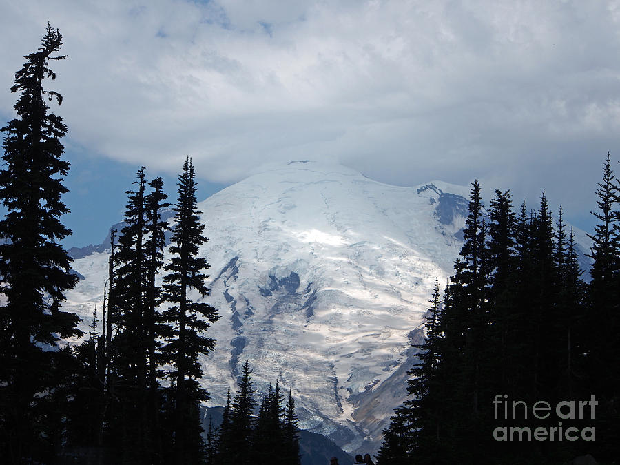  Mount Rainer  Photograph by Jacklyn Duryea Fraizer