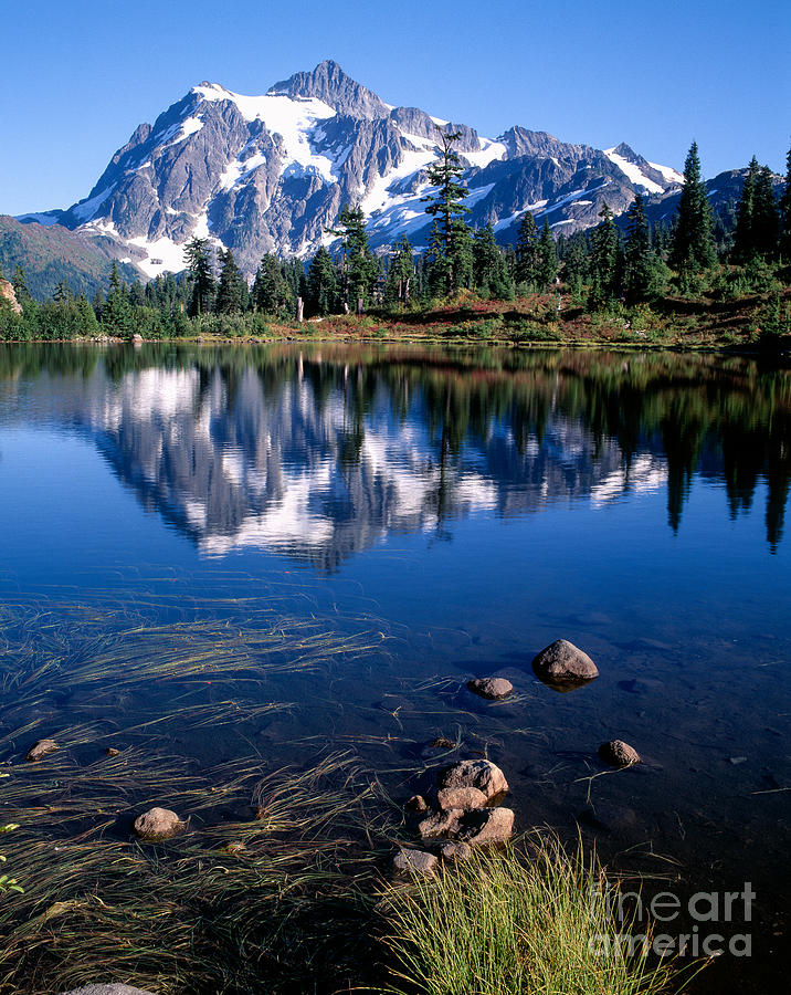 Landscape Photograph -  Mt. Shuksan Reflected in Picture Lake by Tracy Knauer
